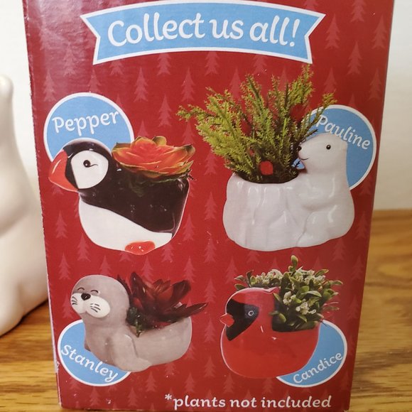 Animal Planters, New Winter 2021 4pc Set, Cardinal Polar Bear Puffin Seal - Picture 3 of 11